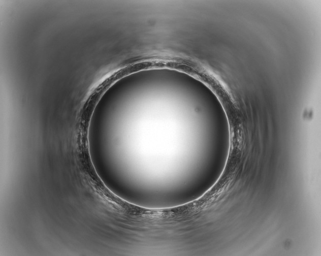 X0000099511352200805221413