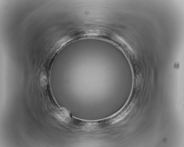 X0000099511353200805221413
