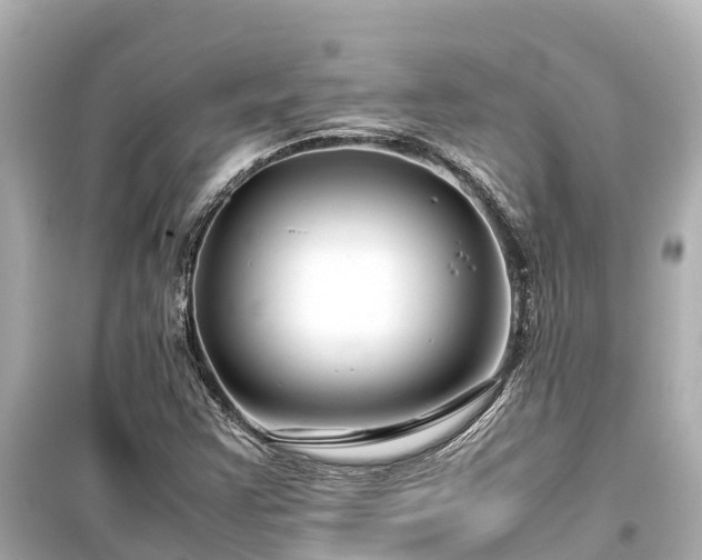 X0000099511355200805221413