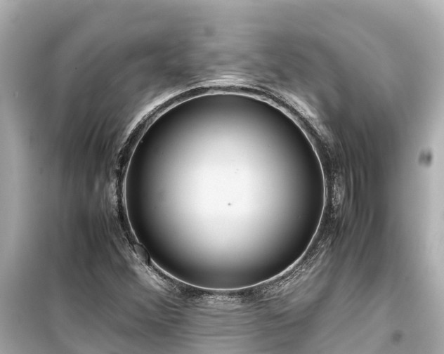 X0000099511356200805221413