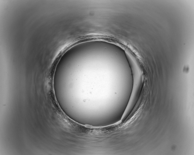 X0000099511357200805221413