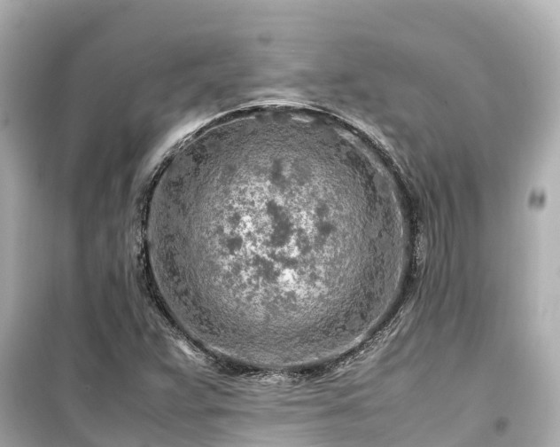 X0000099511359200805221413