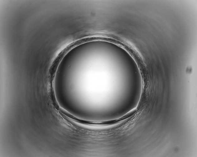 X0000099511360200805221413