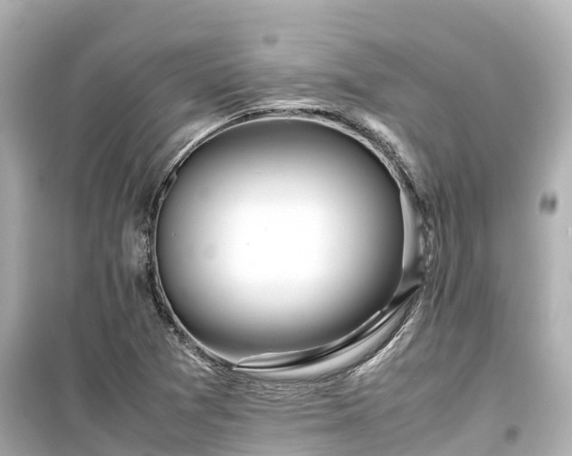X0000099511361200805221413