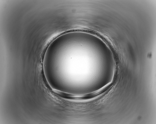 X0000099511363200805221413