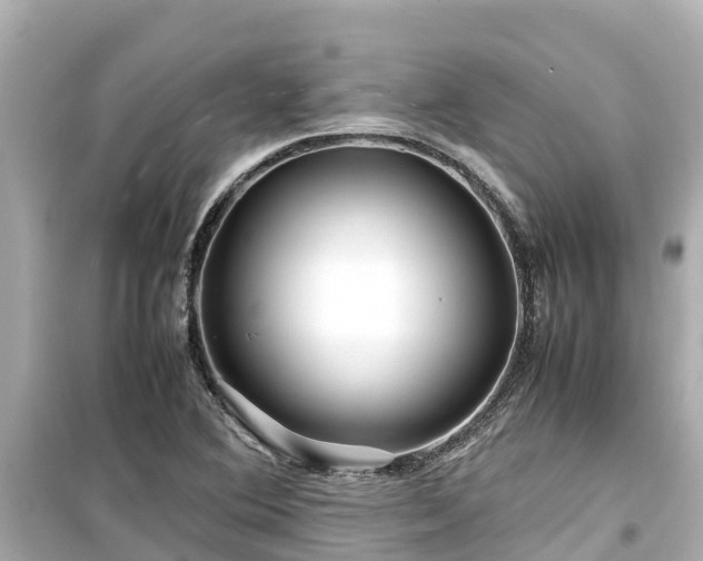 X0000099511364200805221413