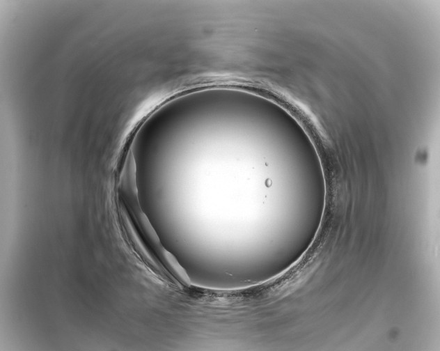X0000099511365200805221413