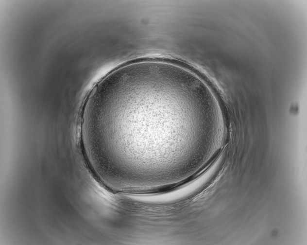 X0000099511367200805221413