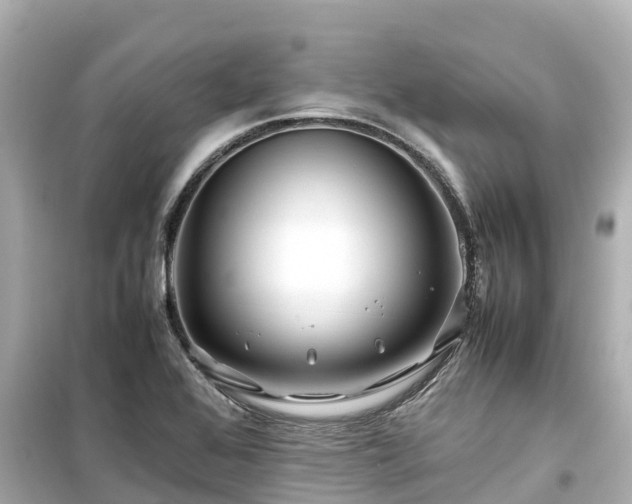 X0000099511368200805221413