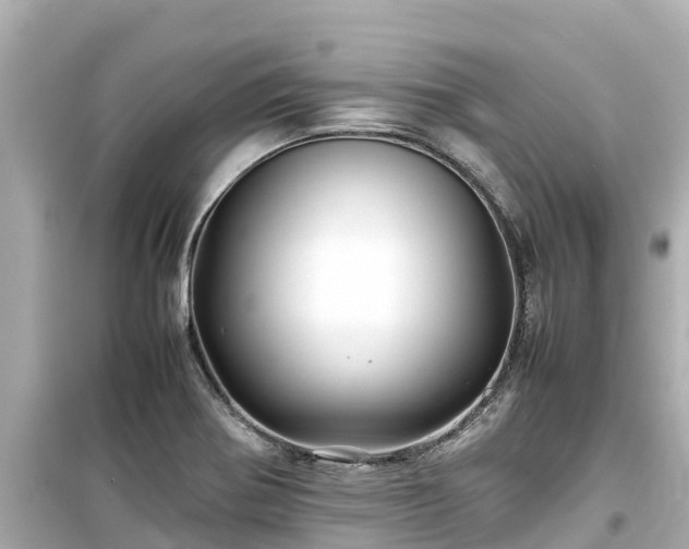 X0000099511370200805221413