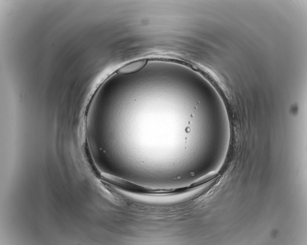 X0000099511371200805221413