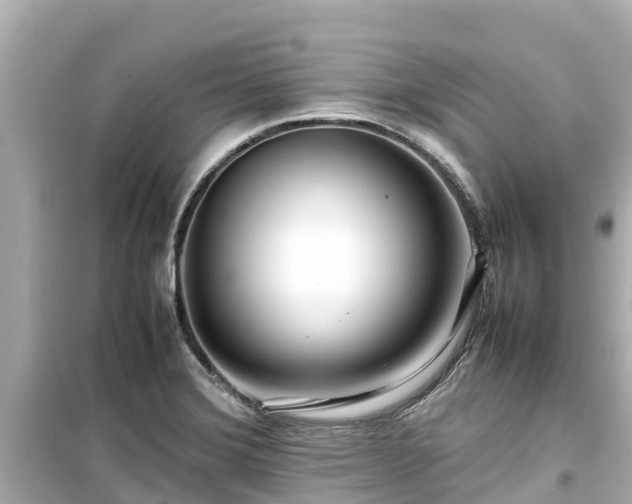 X0000099511372200805221413