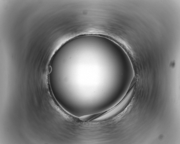 X0000099511374200805221413