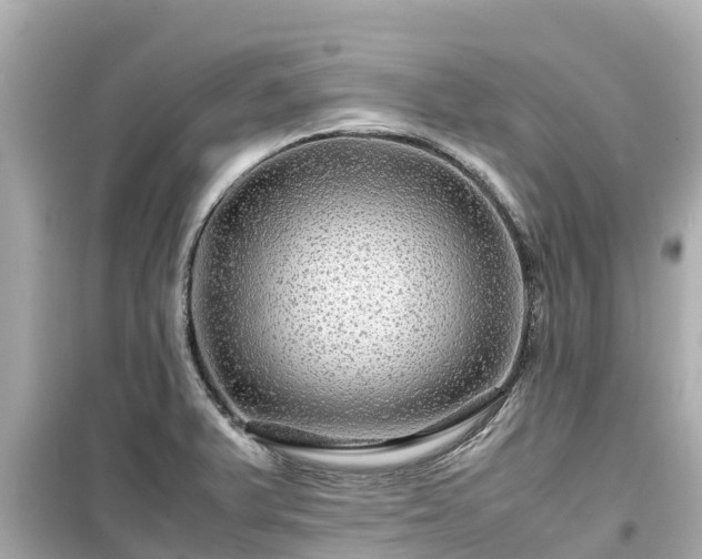 X0000099511375200805221413