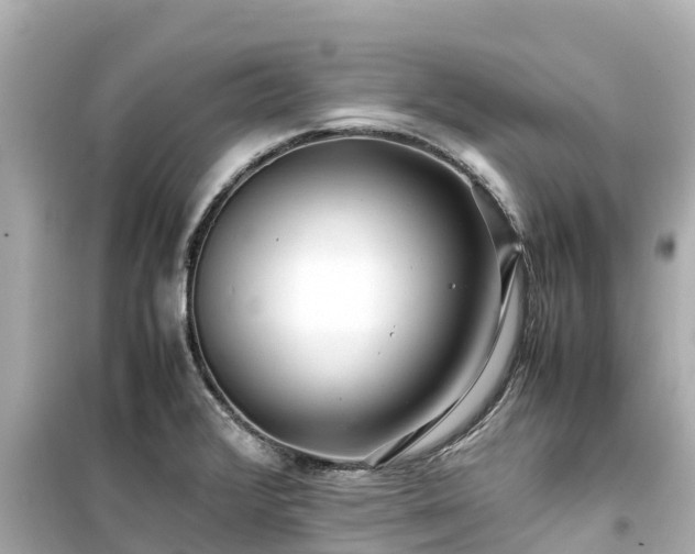X0000099511376200805221413