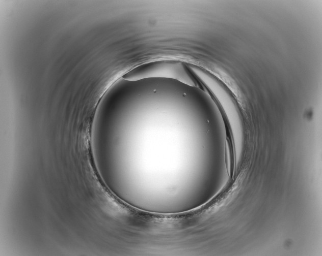 X0000099511377200805221413