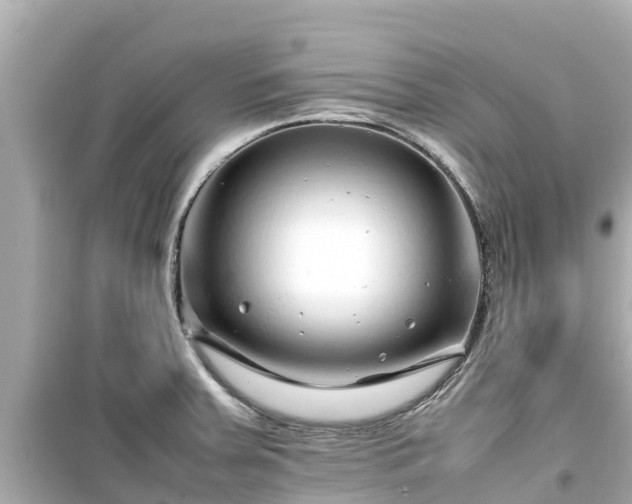 X0000099511379200805221413