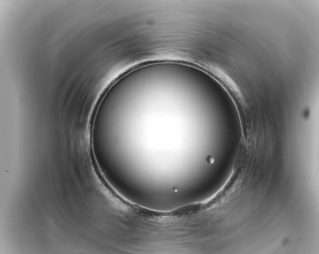 X0000099511380200805221413