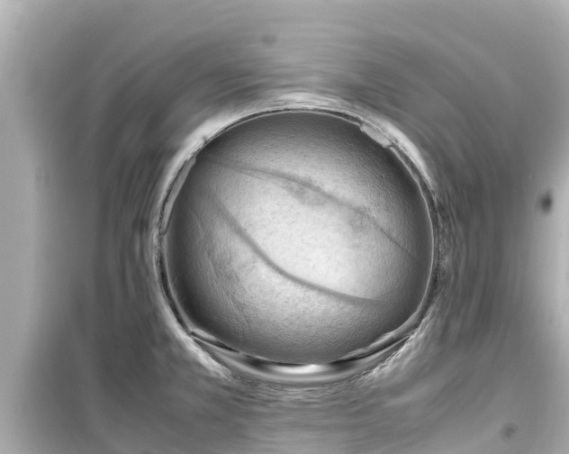 X0000099511381200805221413