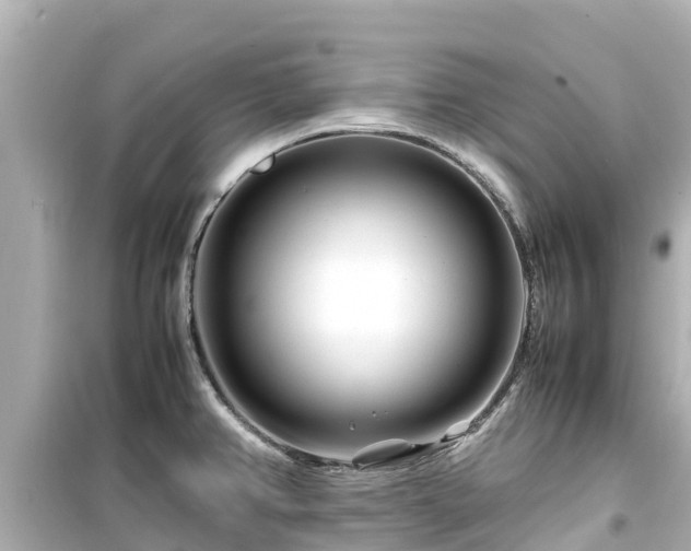 X0000099511382200805221413