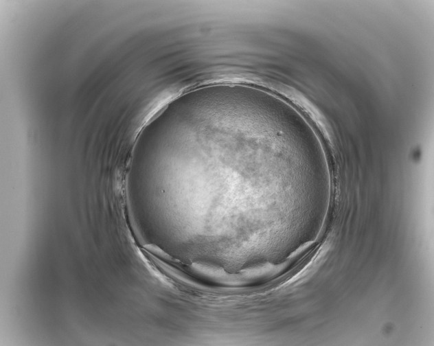 X0000099511385200805221413