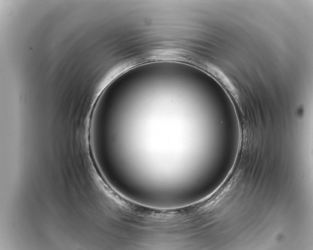 X0000099511386200805221413