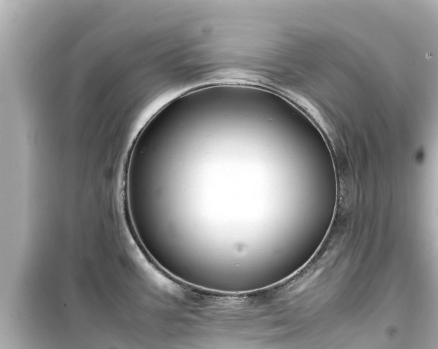 X0000099511387200805221413