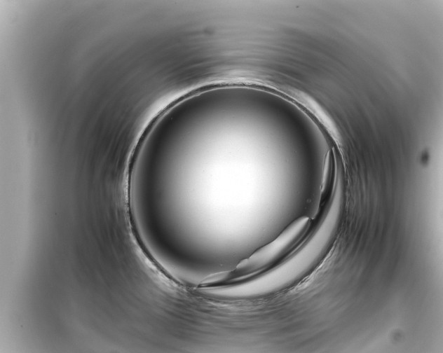 X0000099511388200805221413