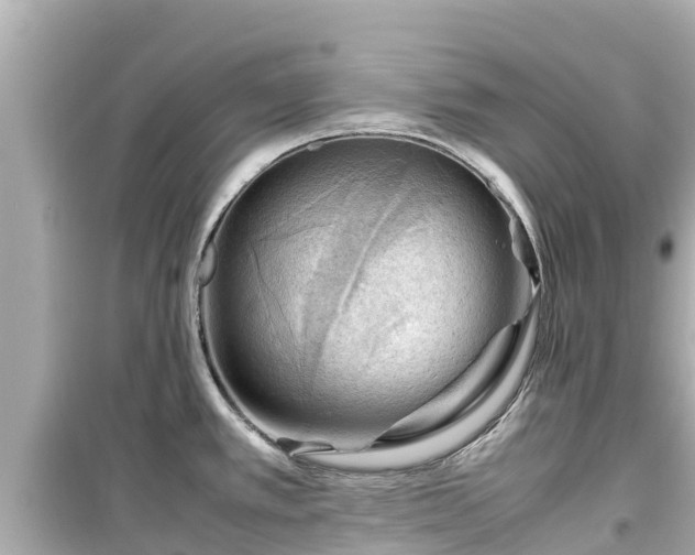 X0000099511389200805221413