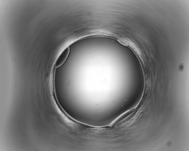 X0000099511391200805221413