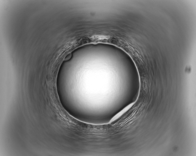 X0000099511393200805221412