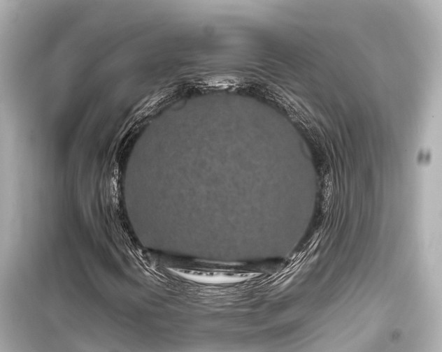 X0000099511394200805221412