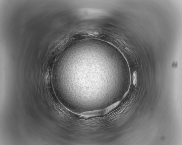 X0000099511395200805221412