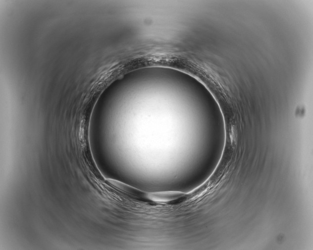 X0000099511396200805221412