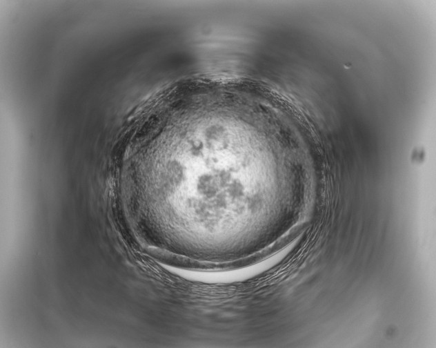 X0000099511397200805221412