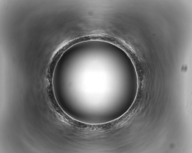 X0000099511400200805221412