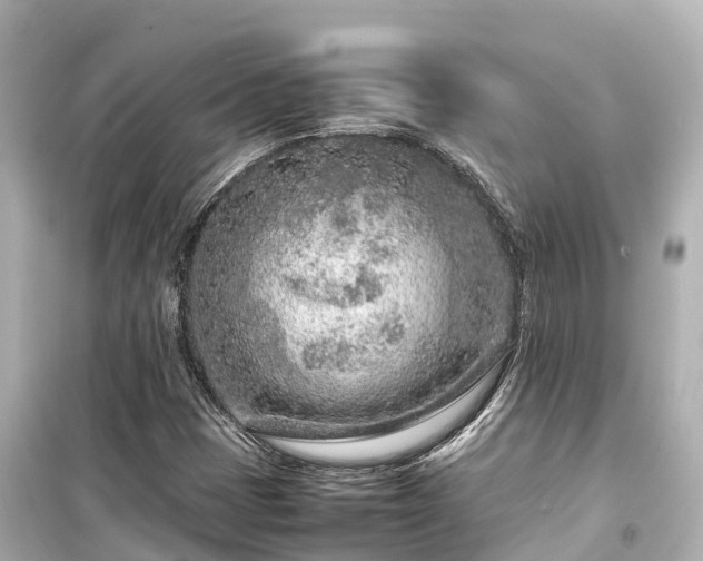 X0000099511401200805221412