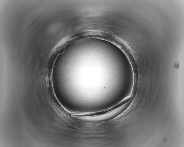 X0000099511403200805221412