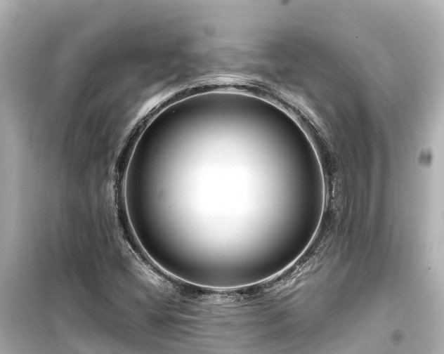 X0000099511404200805221412