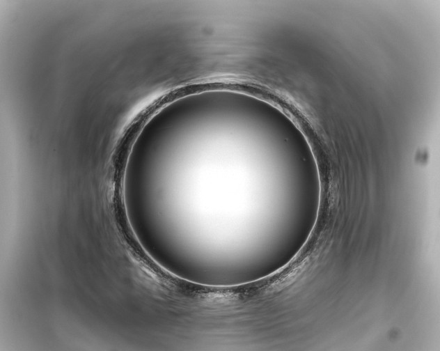 X0000099511406200805221412