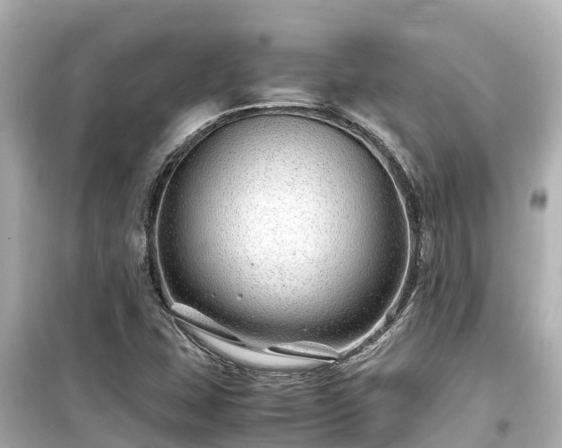 X0000099511407200805221412
