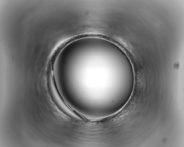 X0000099511408200805221412