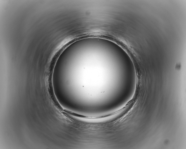 X0000099511410200805221412