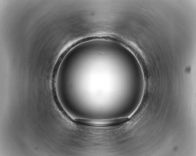 X0000099511412200805221412