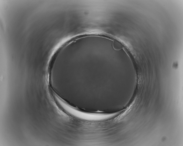 X0000099511414200805221412