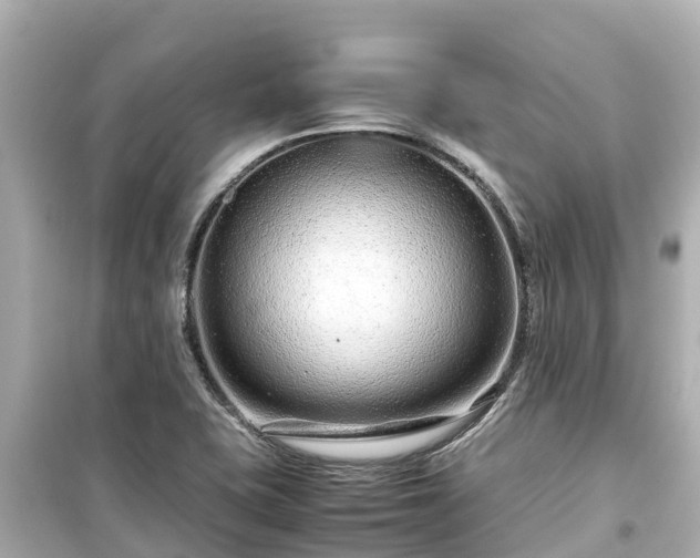 X0000099511415200805221412