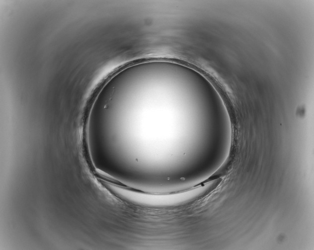 X0000099511416200805221412
