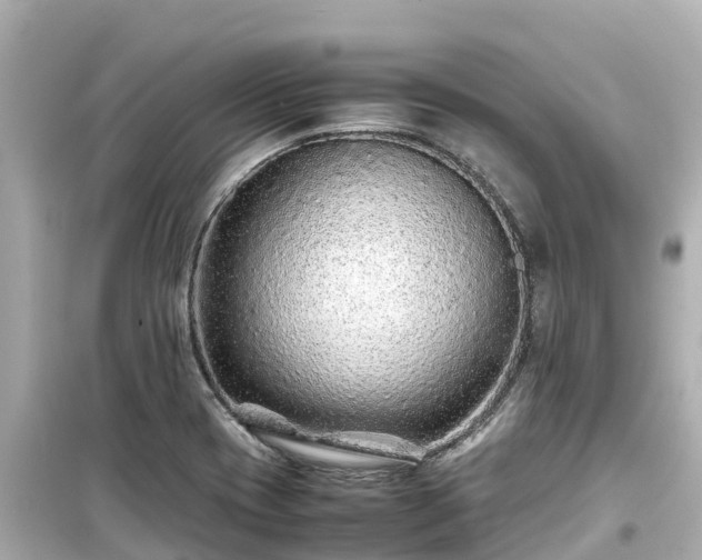 X0000099511417200805221412