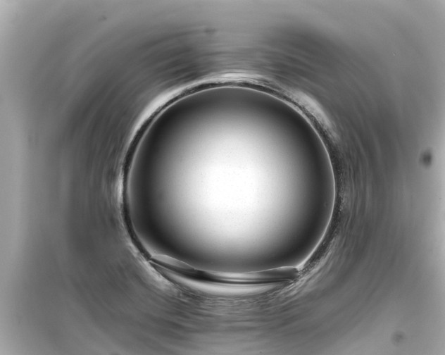 X0000099511420200805221412