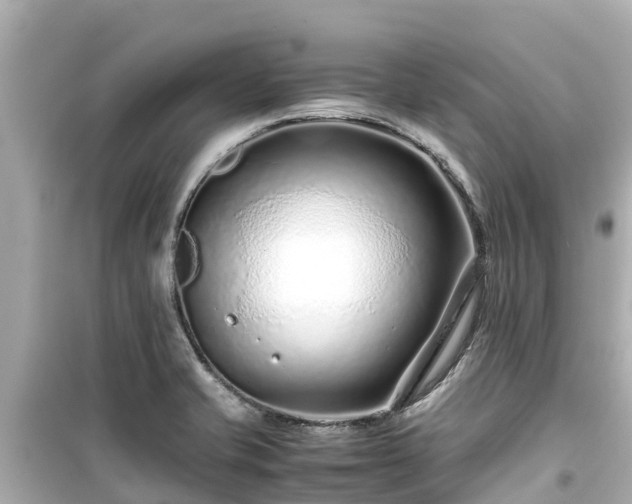 X0000099511421200805221412